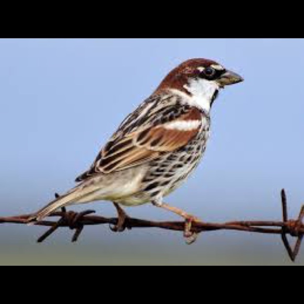 Meet your Posher, Jeanne